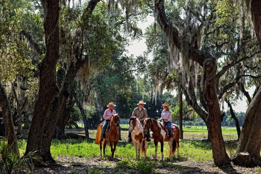 Horseback Riding