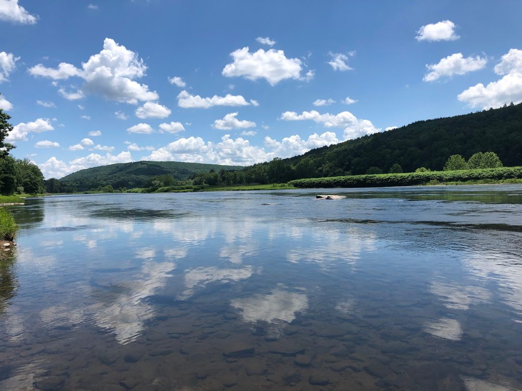 delaware river callicoon NY