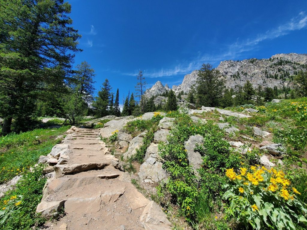 discover point trail in grand teton national park