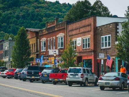 downtown livingston manor 