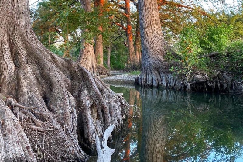 Camp Comfort Texas Hotel Cypress Creek