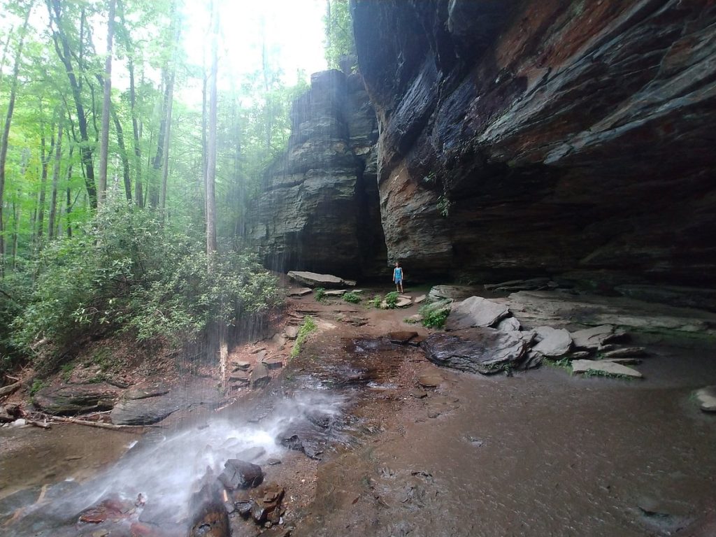 Pisgah National Forest hiking