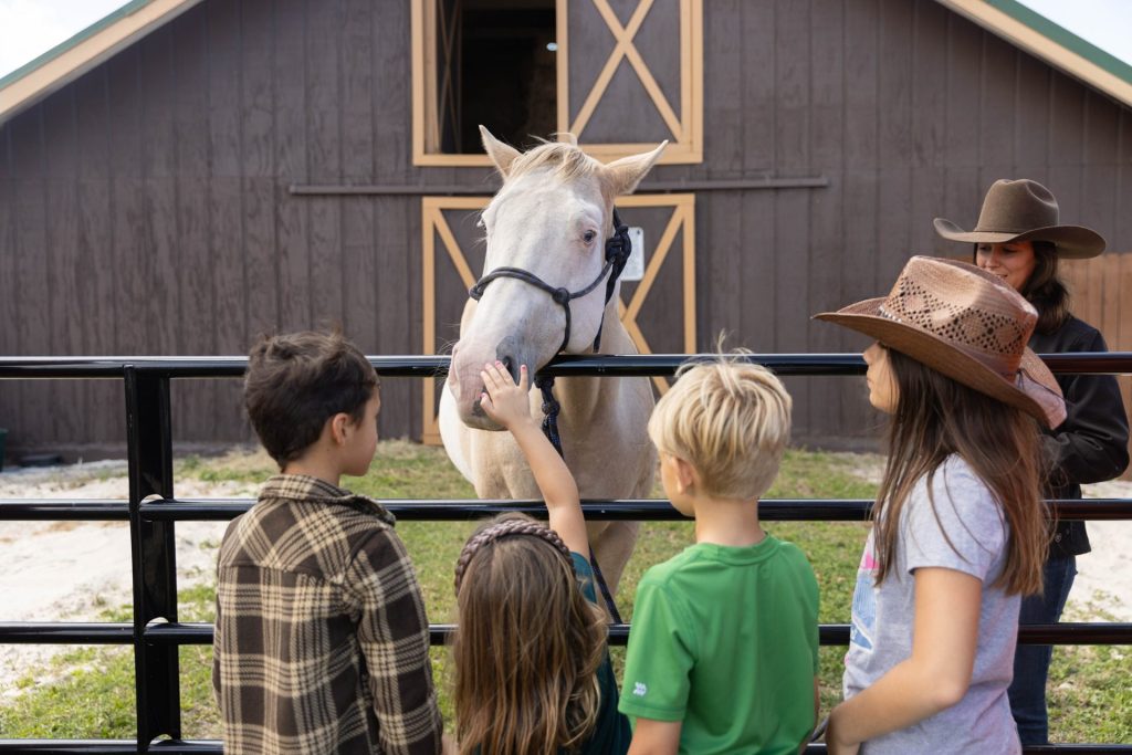 visitors and friends can pet horses