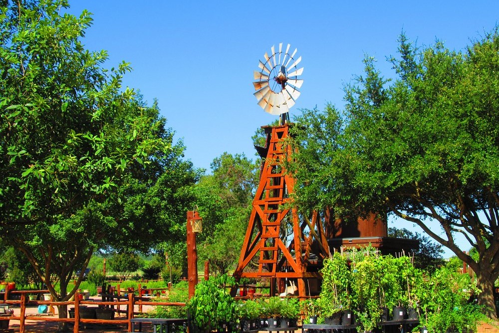 things to do in fredericksburg tx on site restaurant