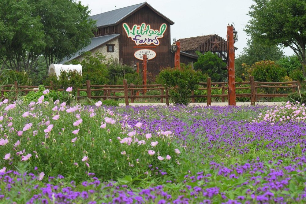 wildseed farms with tasting rooms near fredericksburg brewing company