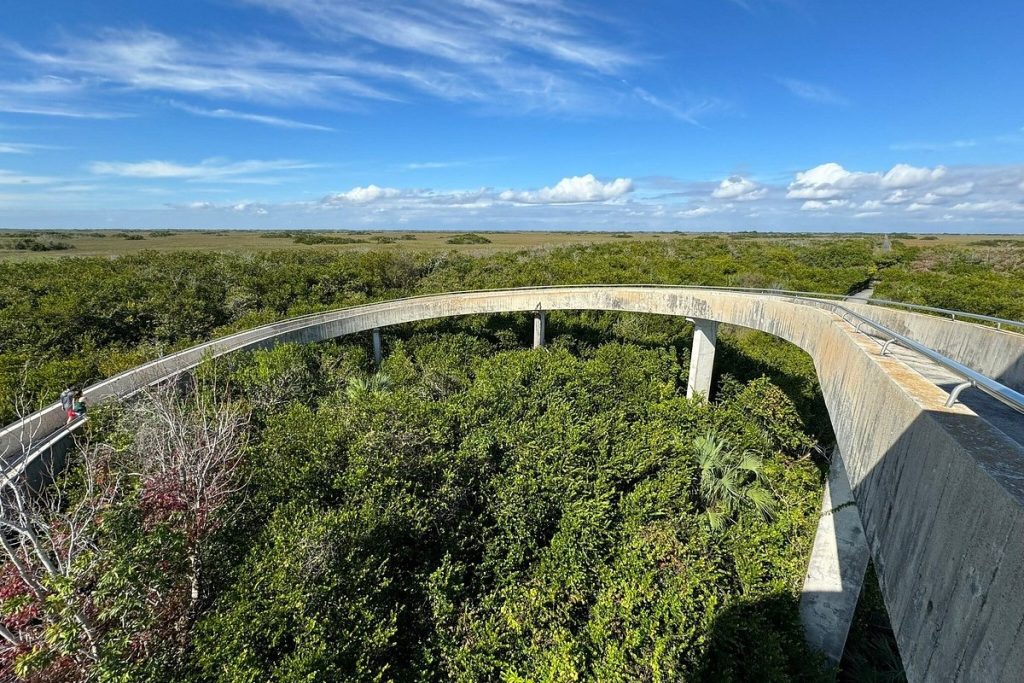 Everglades National Park: View From Shark Valley Observation Tower 