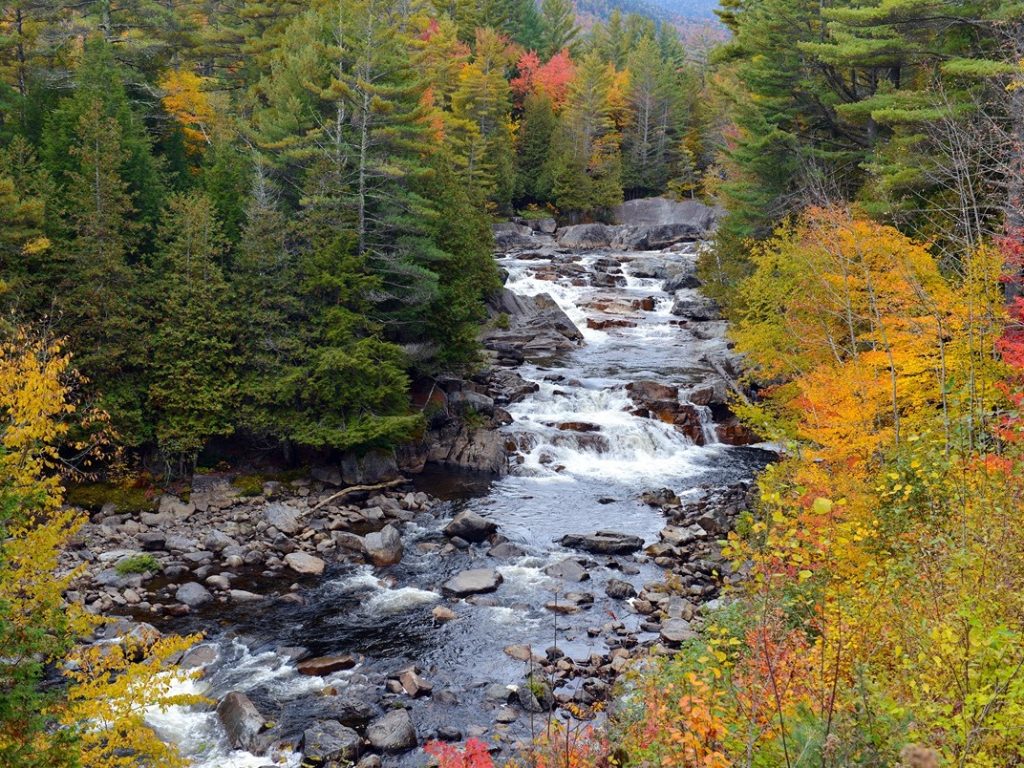 river in catskills with fall colors