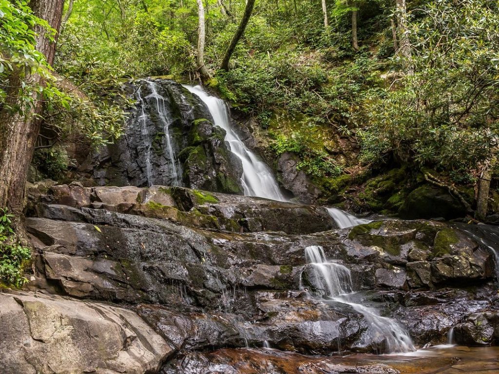 laurel falls