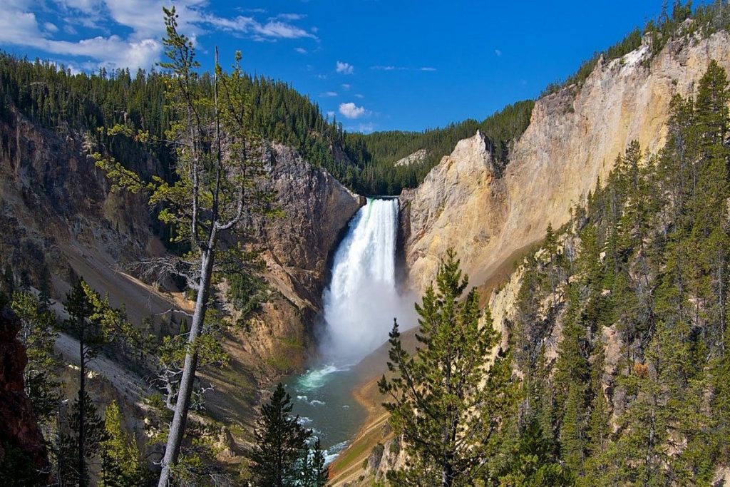 Yellowstone National Park Lower Falls