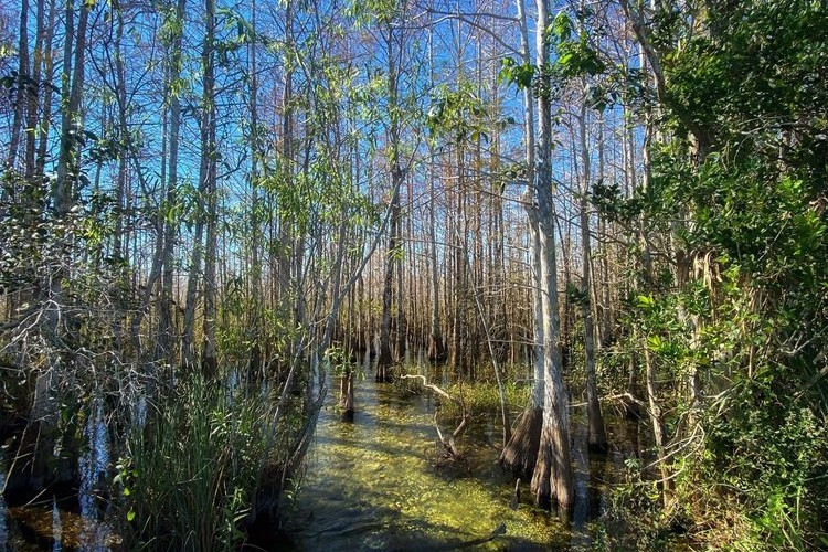 Everglades National Park