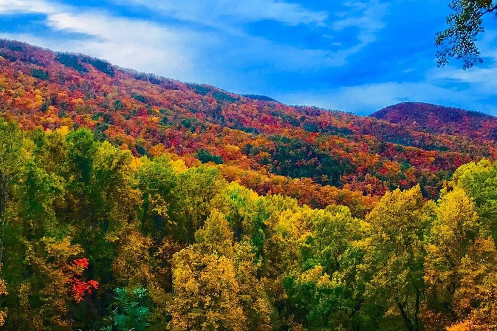 Great Smoky Mountains National Park in the Fall