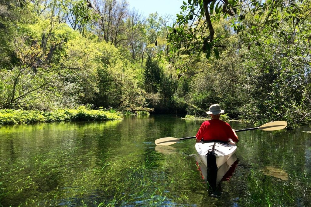 Manatee Springs State Park