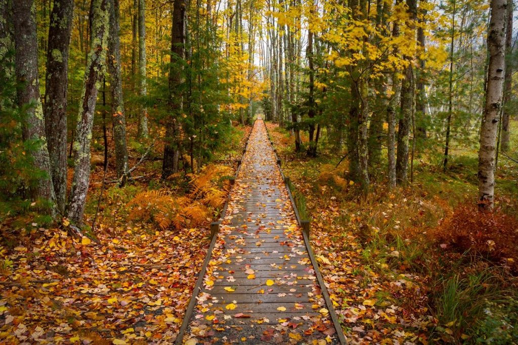 gorgeous during fall time, hiking 