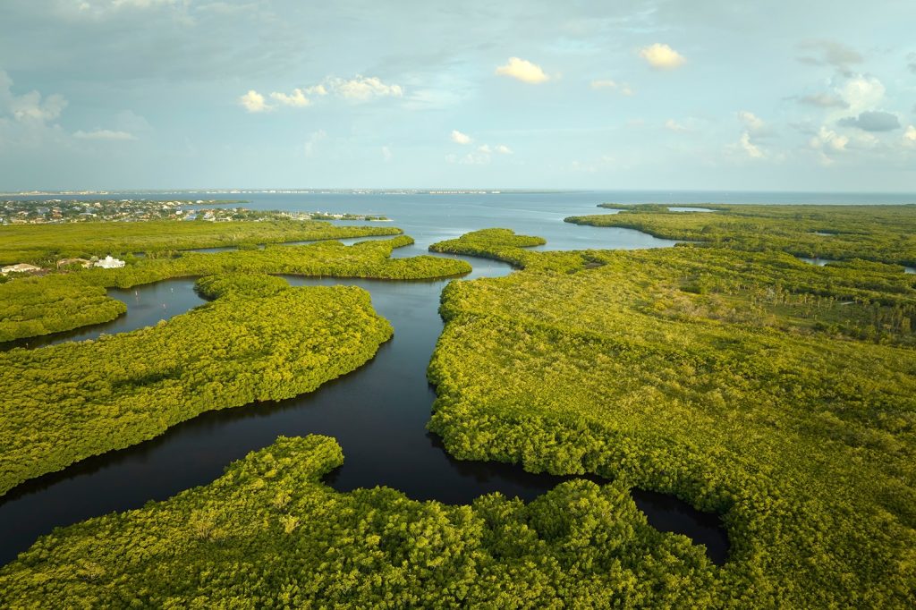 Everglades National Park