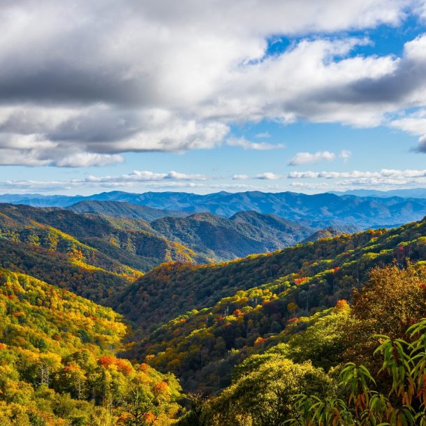 hiking in north carolina