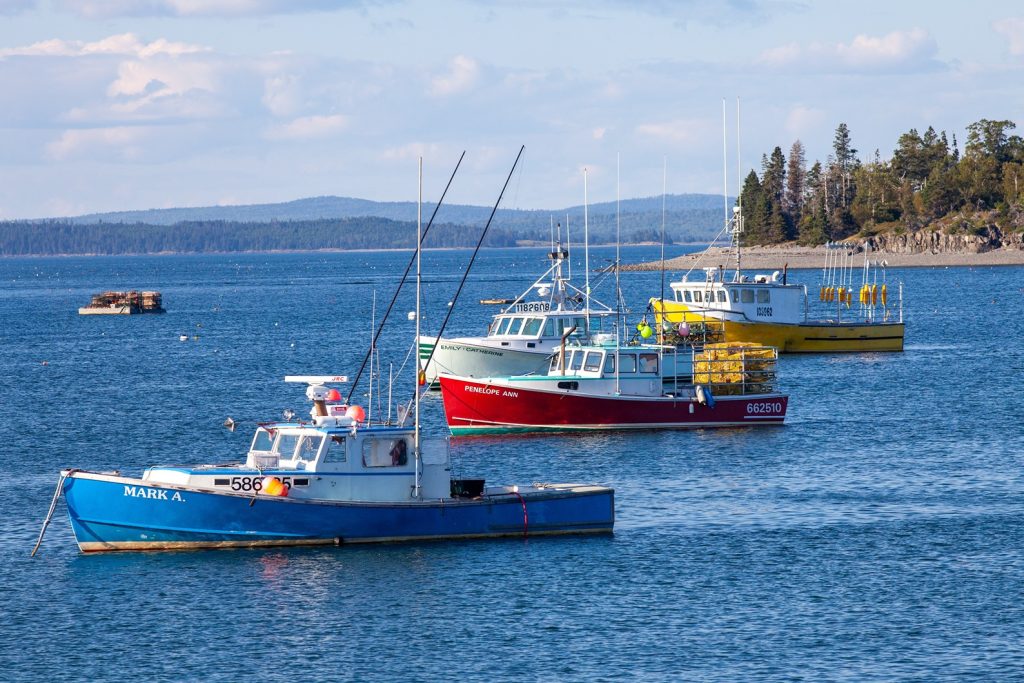 fun for the whole family, calm waters