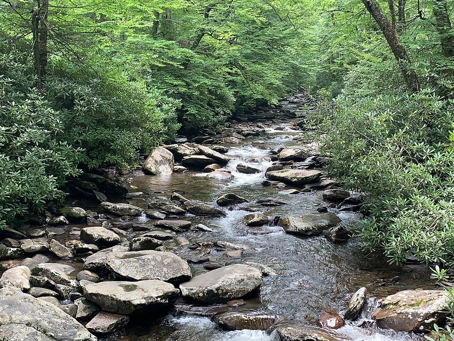 streams on alum cave