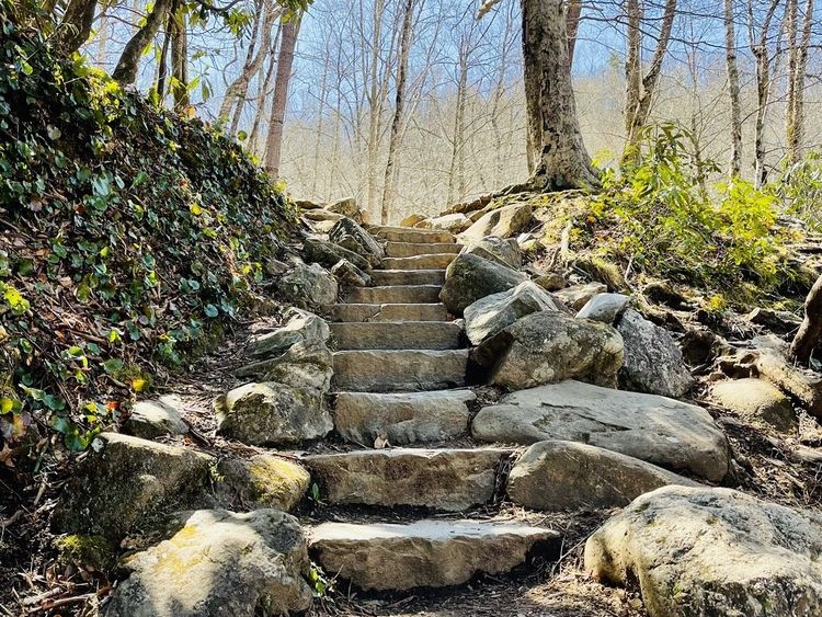 trail at great smoky mountains national park