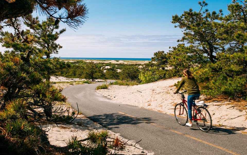 Cape Cod Provincelands Trail