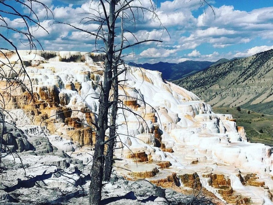 jackson hole snow