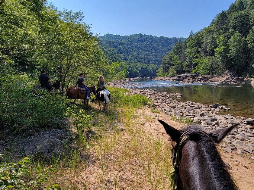 Horseshoe Creek Riding Stables In North Carolina