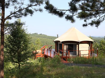 dunya camp sunset tent