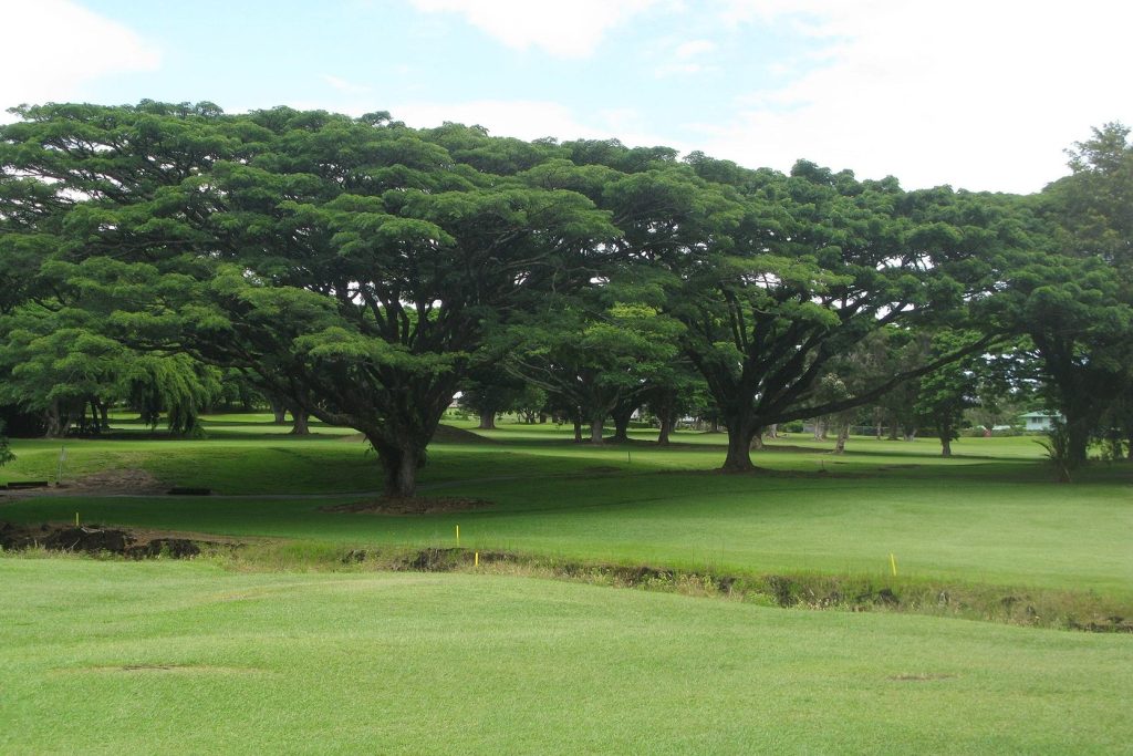 Hilo Municipal Golf course area