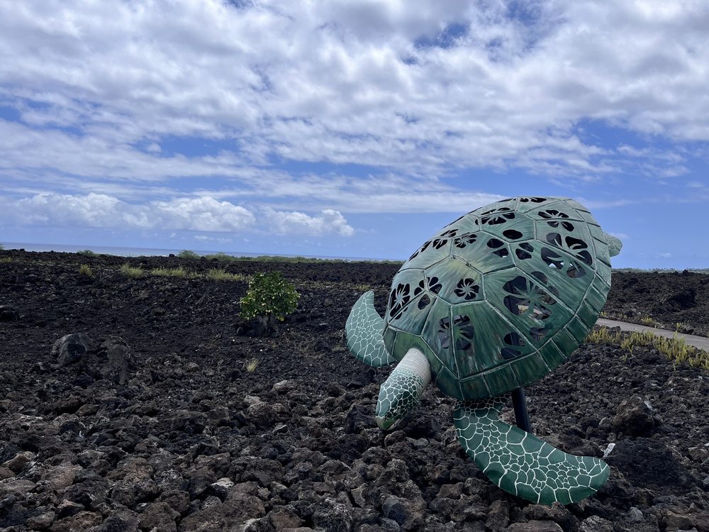 Kaloko-Honokohau National Historical Park