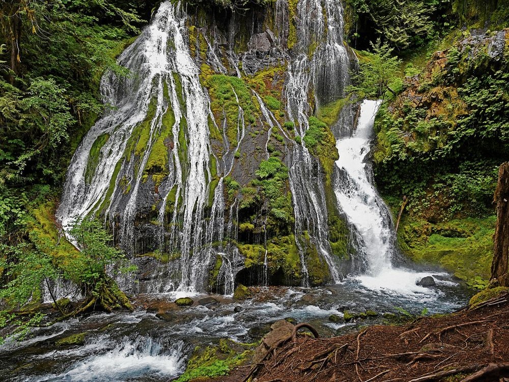 Best Hiking Trails in North Georgia: Panther Creek Falls