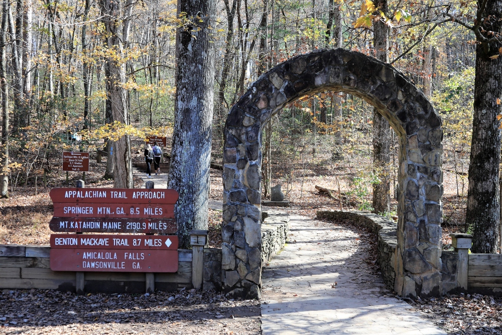 Best Hiking Trails in North Georgia: Springer Mountain