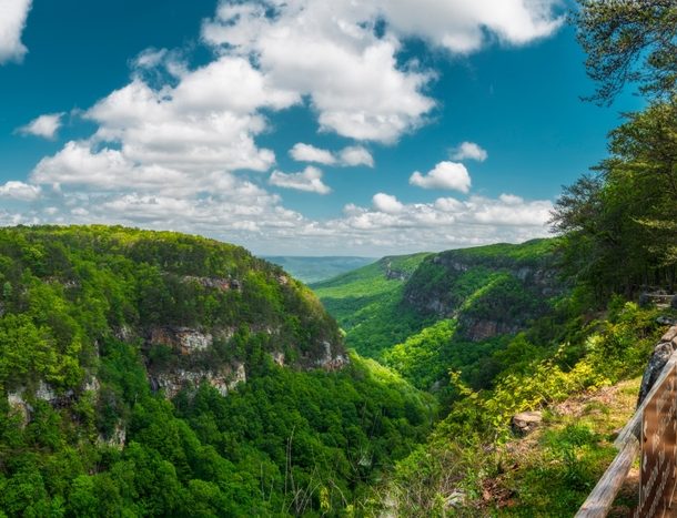 Hiking in North Georgia