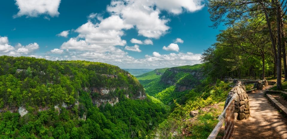 Hiking in North Georgia