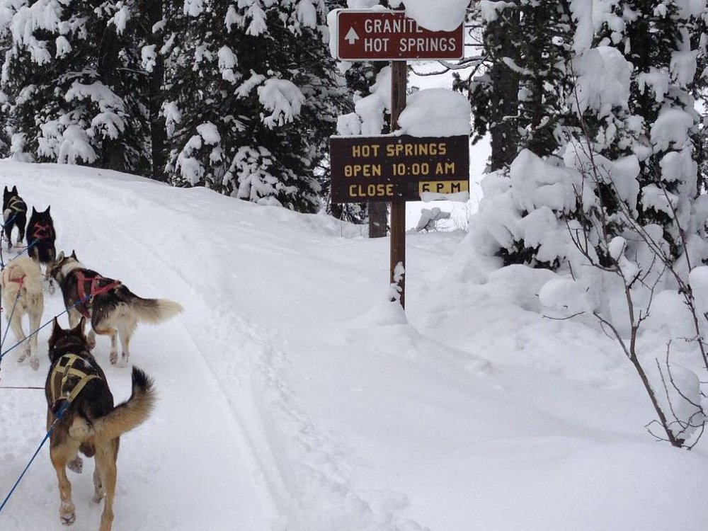 dog sled to granite hot springs