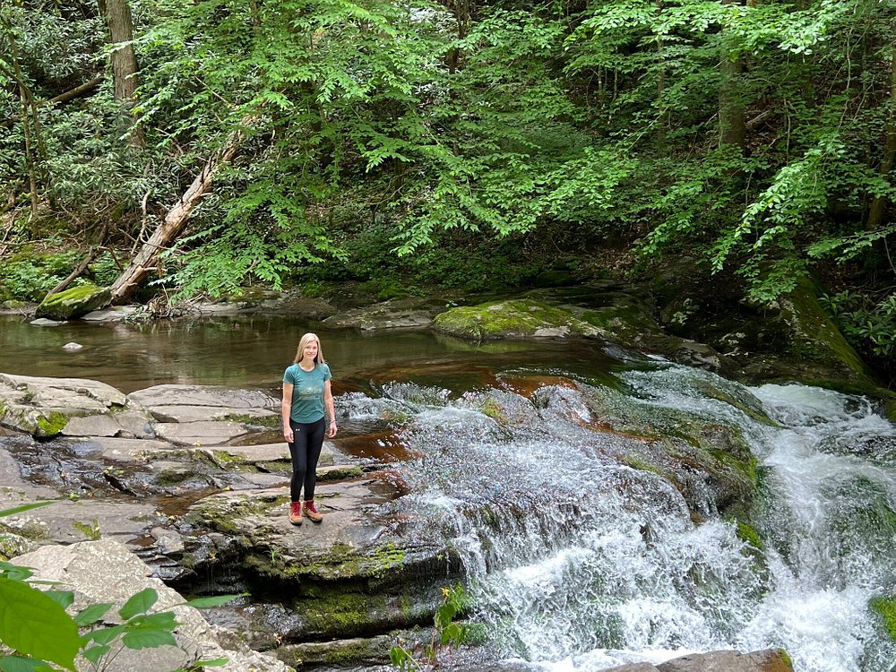 waterfall in smokies national park