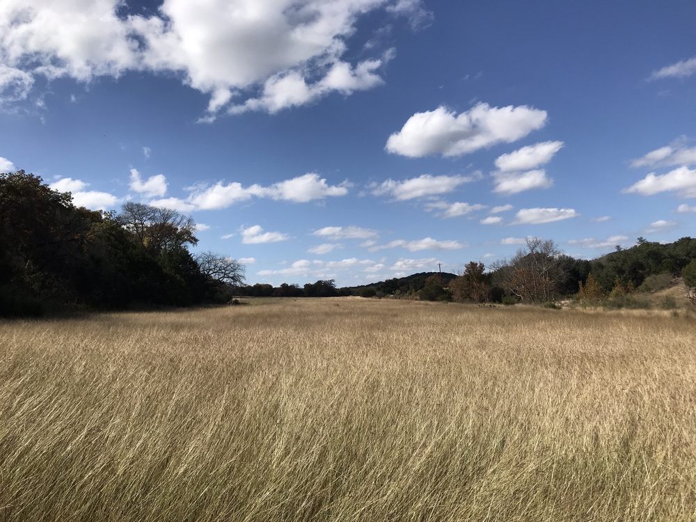 joshua springs park grass meadow