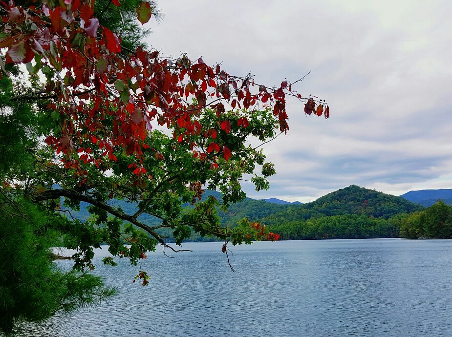 lake santeetlah near north carolina mountain cabins