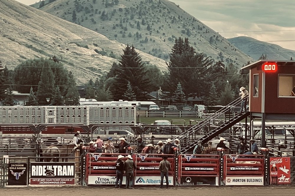 Jackson Hole Rodeo