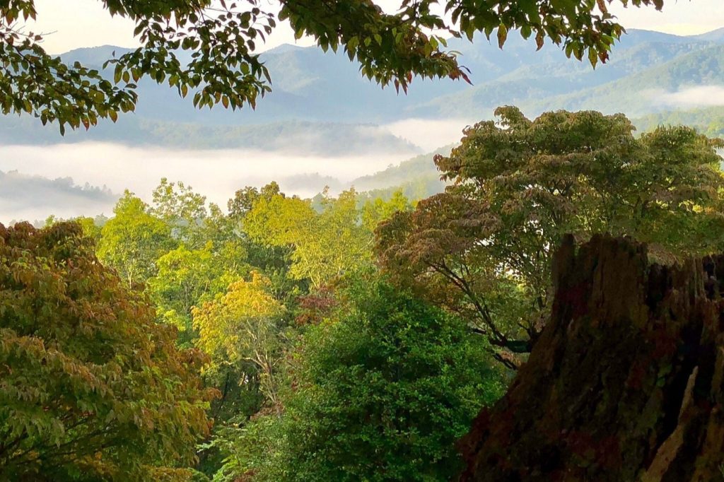 Robbinsville, North Carolina view