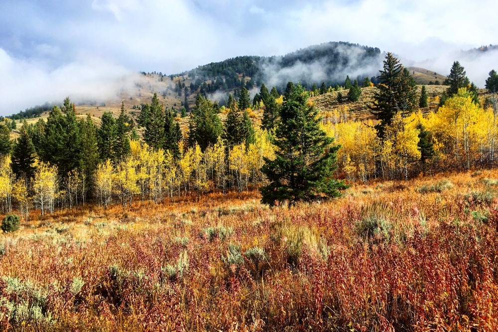 Jackson Hole in October