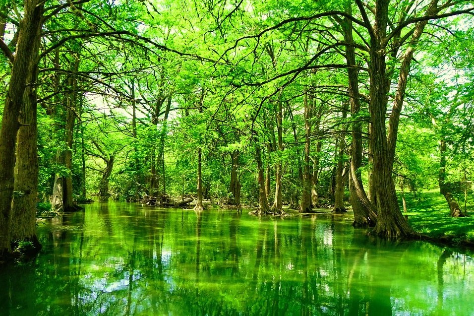 beautiful texas hill country, locals alike 