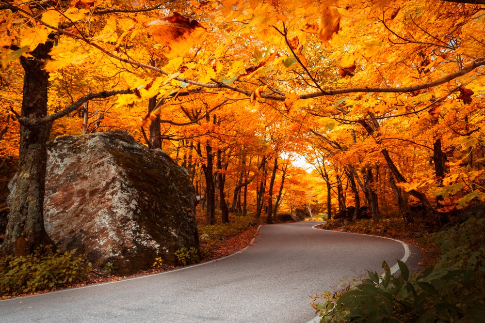 Autumn in Vermont