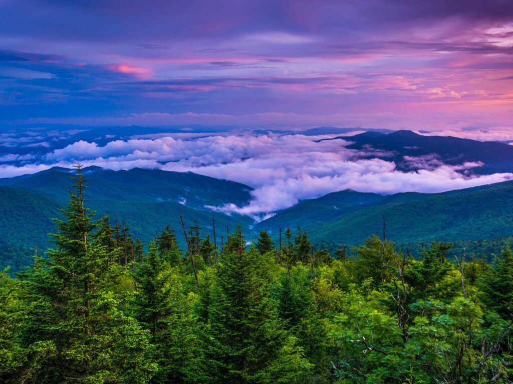 purple sky in the Smoky Mountains 