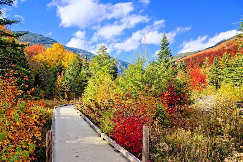 fall time in stowe