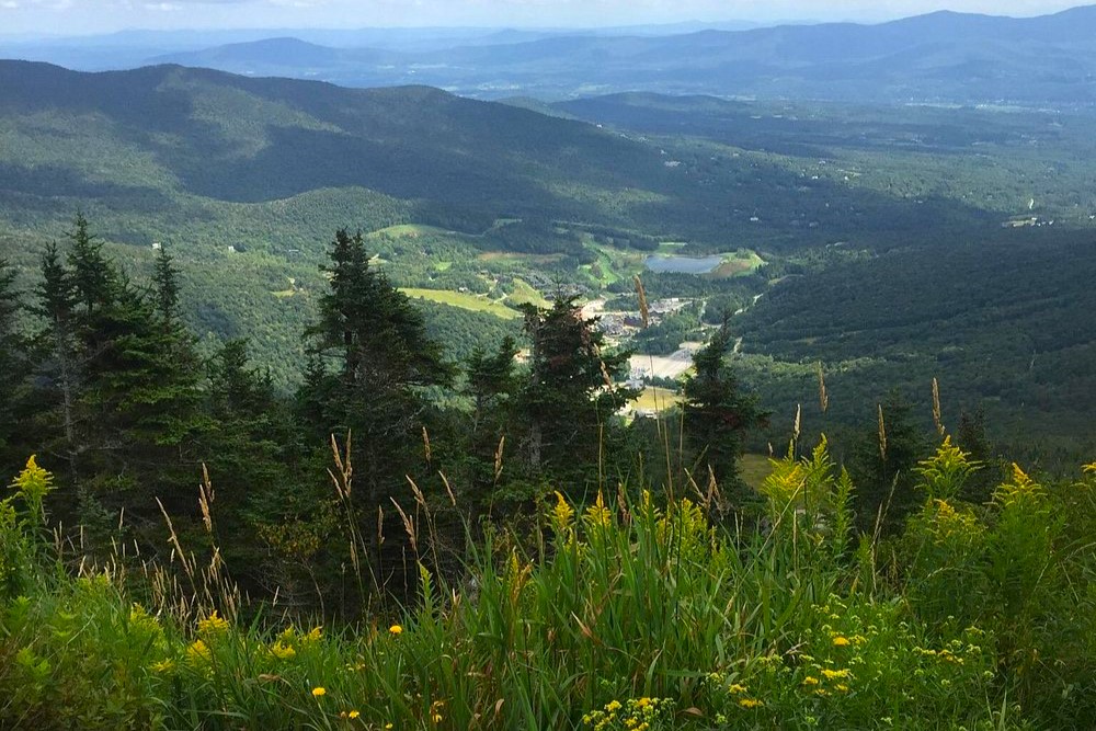 Stowe mountains