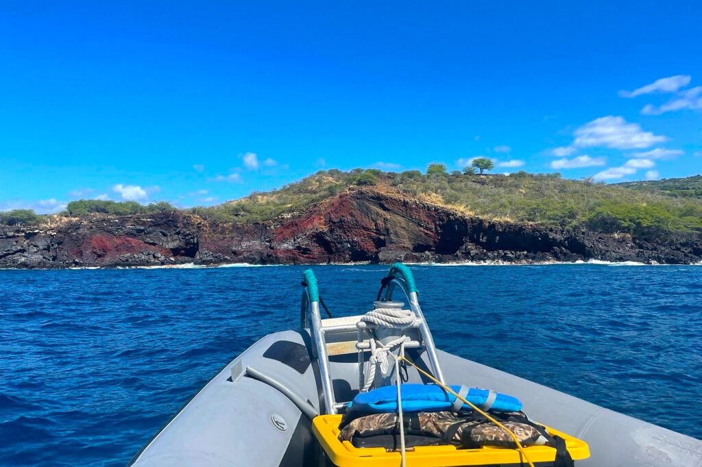 Kealakekua Bay Adventure: Kona Dolphin, Sea Cave and Captain Cook