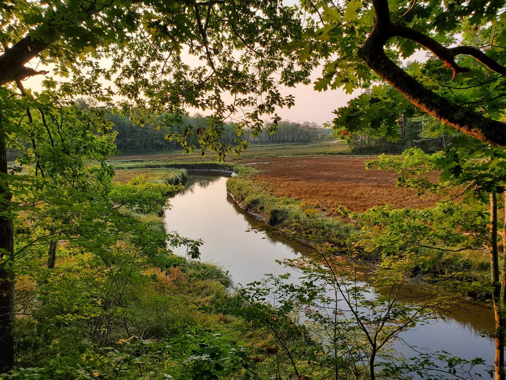 Rachel Carson Preserve