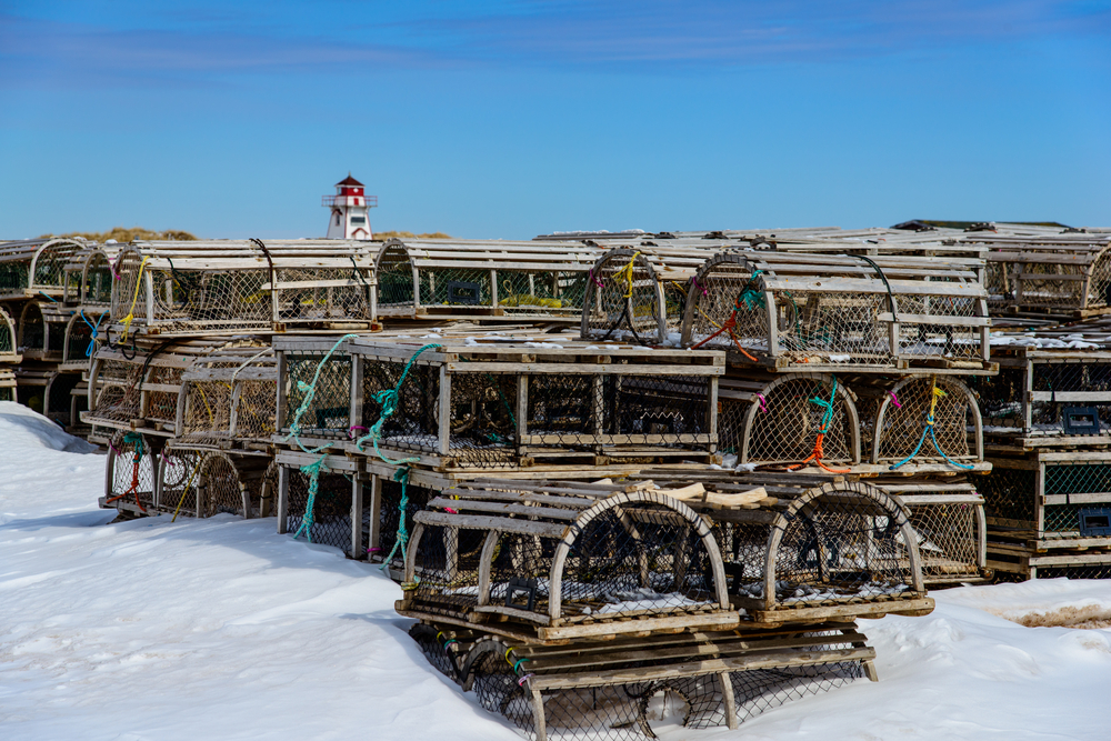 Cape Cod Lobster Traps