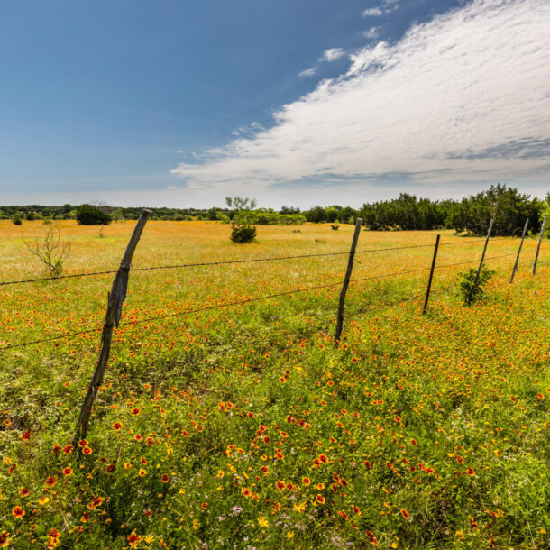 texas hill country