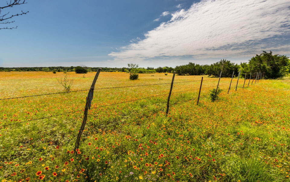 texas hill country