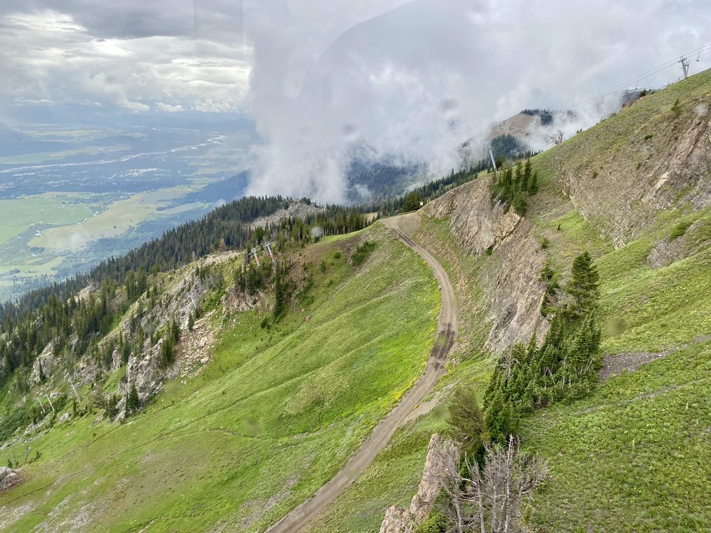 bike trail at jackson hole mountain resort near jackson hole summer resorts